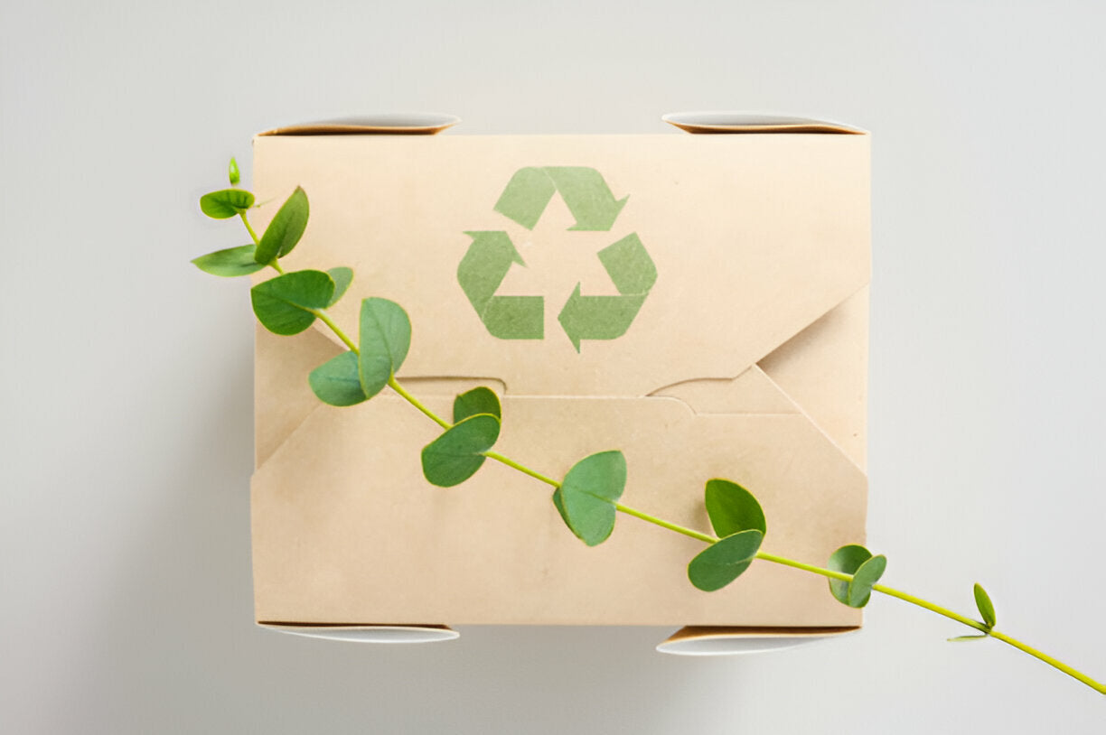 Packing Without Plactic Imagining a World Without Plastic Packaging: A Vision for the Future ...