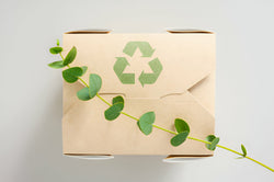 Image of eco friendly food packaging